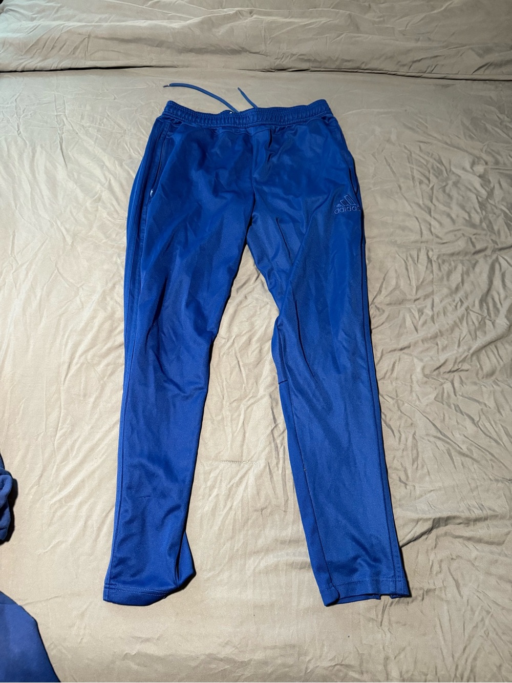adidas Blue Athletic Track Pants with Large